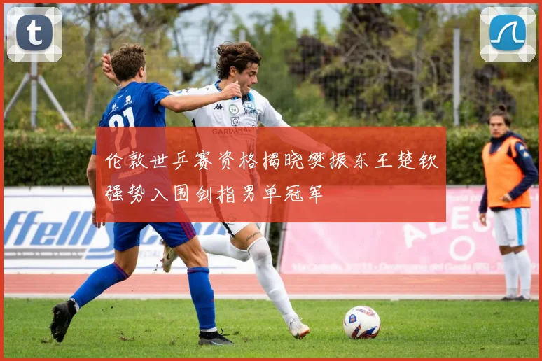 伦敦世乒赛资格揭晓樊振东王楚钦强势入围剑指男单冠军
