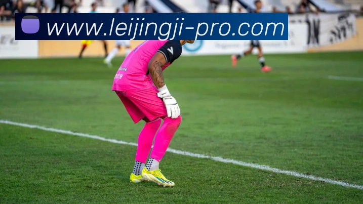 雷竞技 - 打造备受玩家信赖的电竞大数据深度分析门户APP 封面图